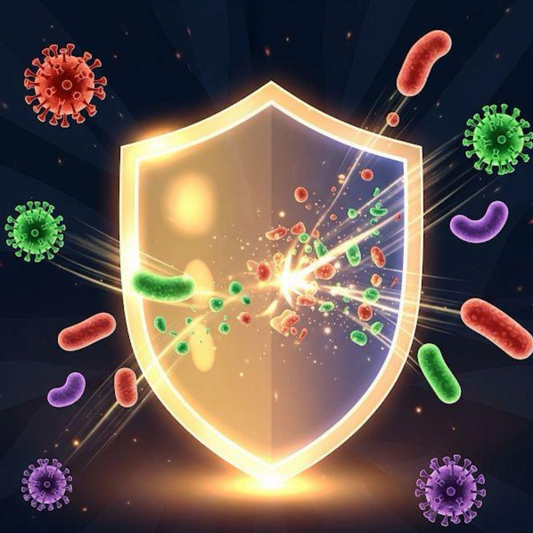 Supporting Your Immune System: A Practical, Friendly Guide
